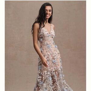 Dress the Population Sidney A-line Sheer Pace Floral Appliqué Gown